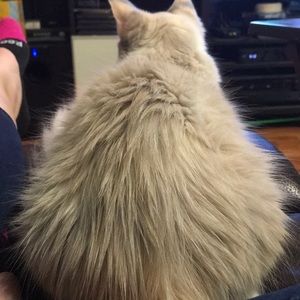 Meet your Posher, Barbara